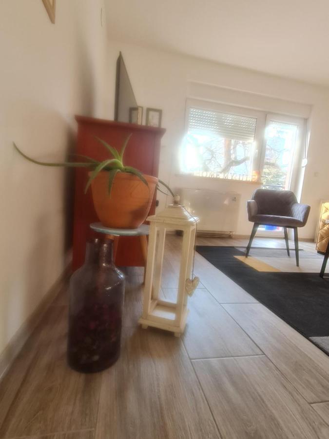 Apartman Karibo Sombor Buitenkant foto